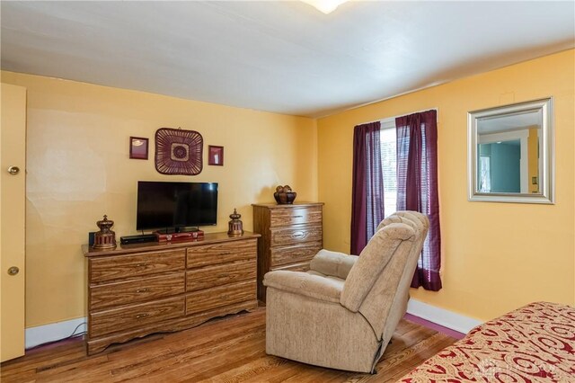 bedroom with wood-type flooring