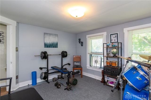 exercise area featuring a wealth of natural light and carpet