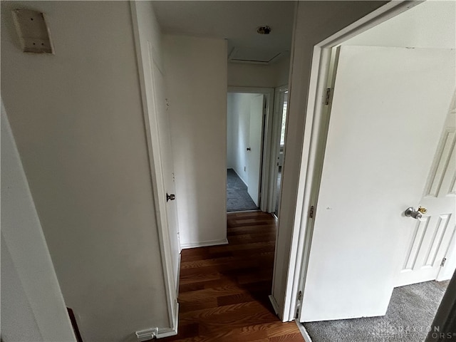 hallway featuring dark hardwood / wood-style floors