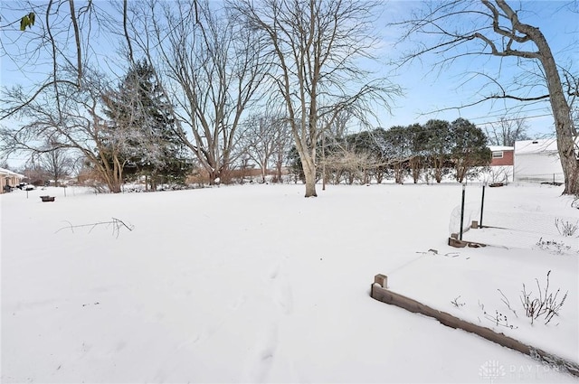 view of yard covered in snow