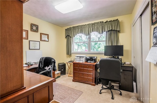 office area featuring light carpet