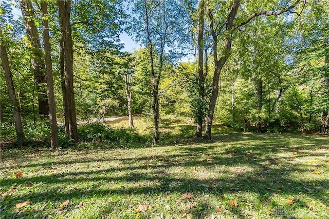 view of landscape featuring a forest view