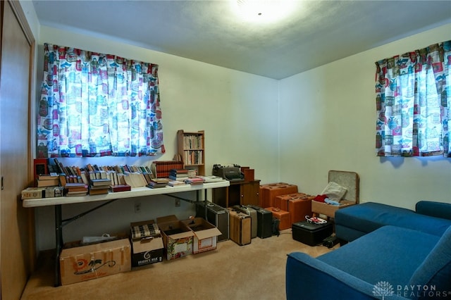 office space with carpet and plenty of natural light