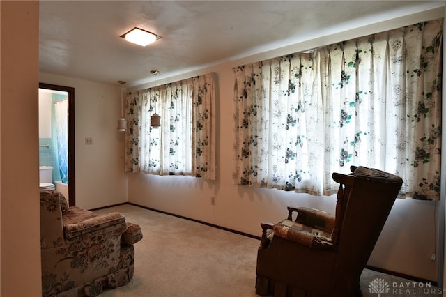 living area featuring light colored carpet