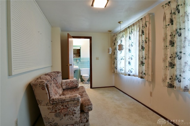 sitting room with light colored carpet