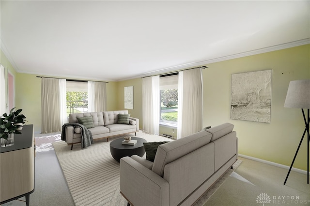 living room featuring ornamental molding and light colored carpet