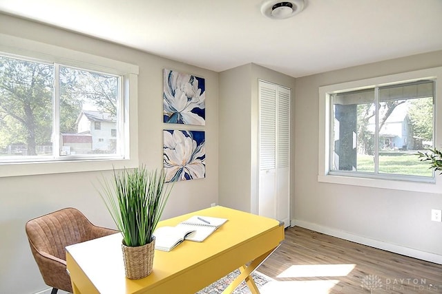 office space with hardwood / wood-style flooring