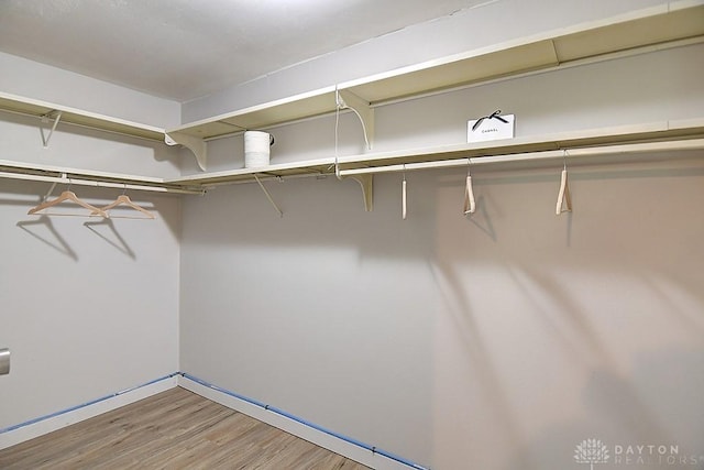 spacious closet featuring hardwood / wood-style flooring