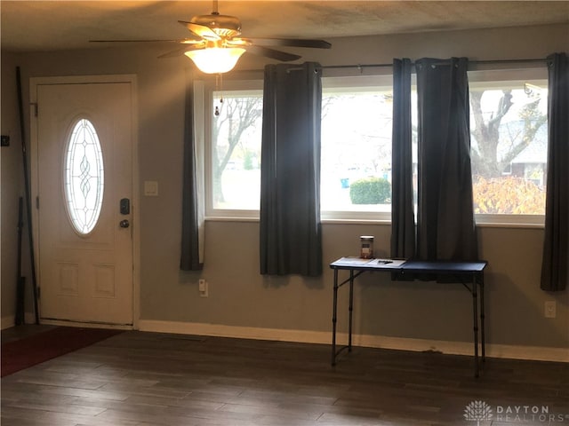 foyer with ceiling fan, a healthy amount of sunlight, and dark wood-type flooring