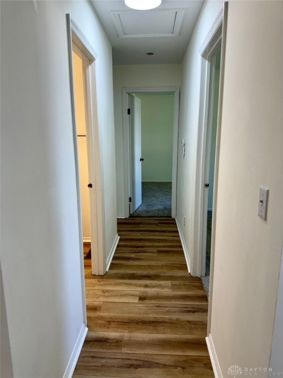 hallway featuring hardwood / wood-style flooring