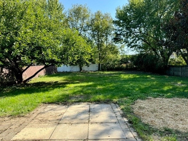 view of yard featuring a patio