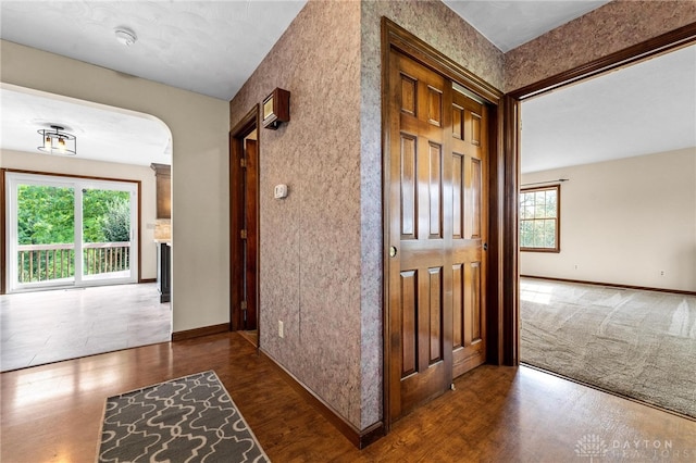 hallway featuring plenty of natural light and dark hardwood / wood-style flooring