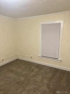 unfurnished room featuring crown molding and carpet floors