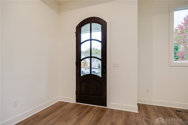 entryway featuring dark wood-type flooring and plenty of natural light