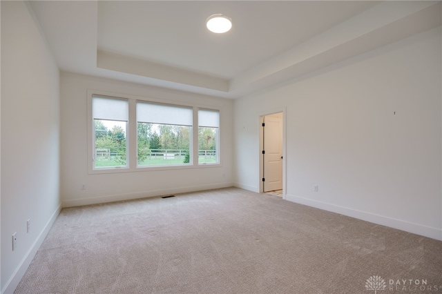 carpeted spare room with a raised ceiling