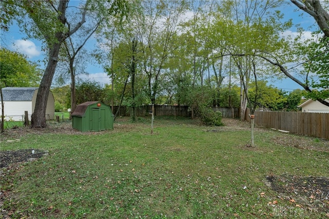 view of yard featuring a shed