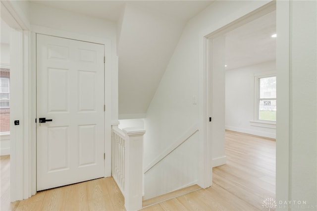 stairway with hardwood / wood-style floors