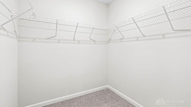 walk in closet with carpet