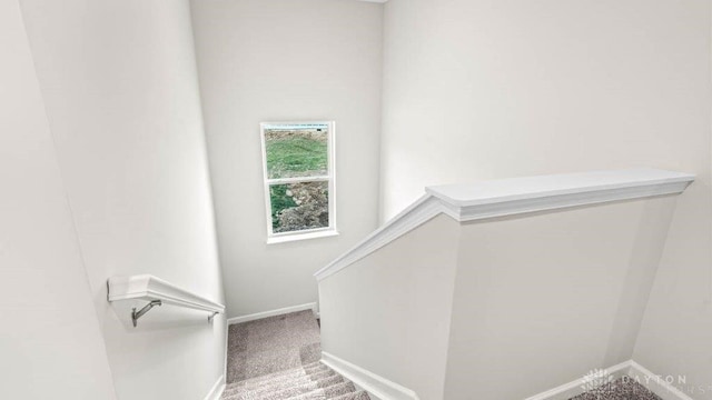 stairs with carpet floors