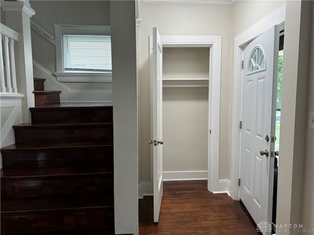 interior space featuring hardwood / wood-style flooring and a healthy amount of sunlight