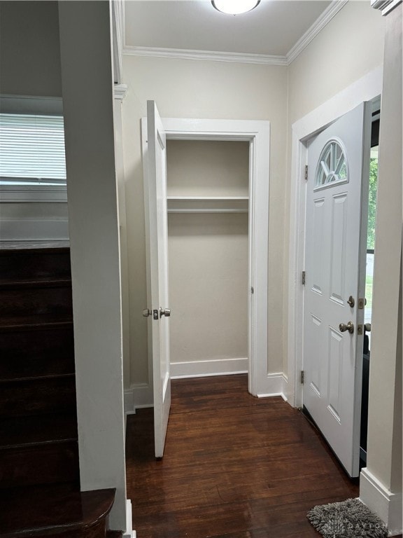 entryway featuring dark wood-type flooring, crown molding, and a wealth of natural light