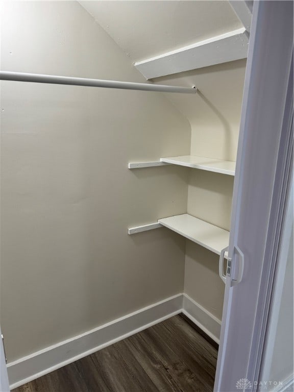 spacious closet featuring dark hardwood / wood-style flooring