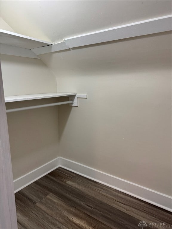 spacious closet with dark hardwood / wood-style flooring