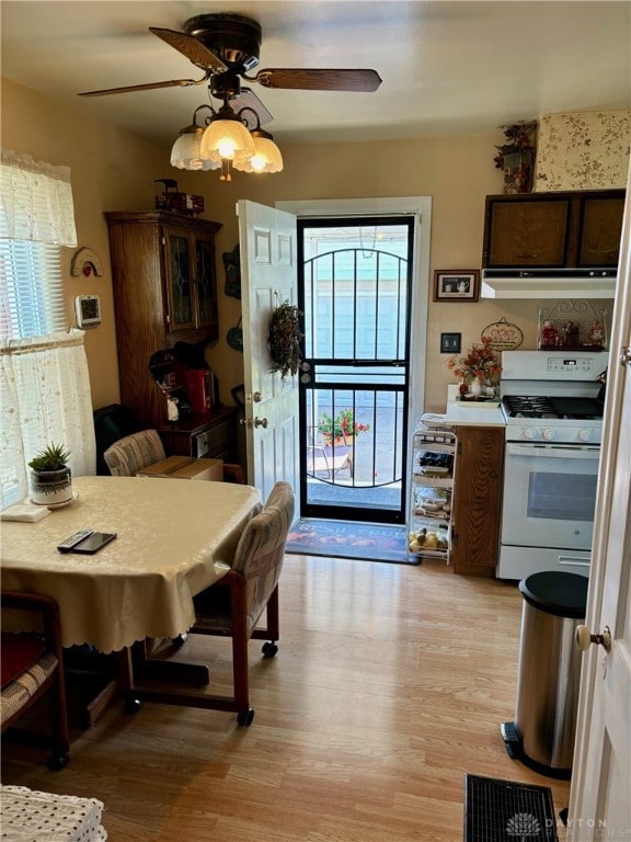 dining room with ceiling fan and light wood-type flooring