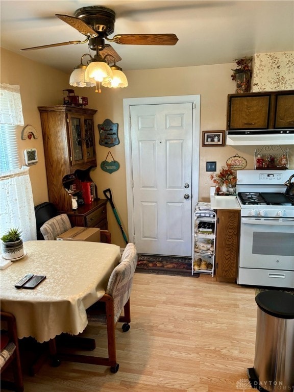 dining room featuring light wood-type flooring