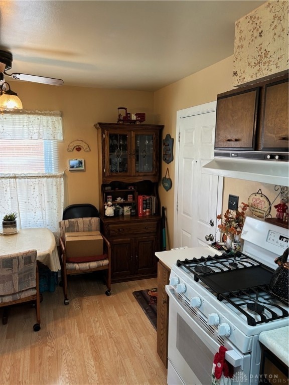 kitchen featuring ceiling fan, light hardwood / wood-style flooring, white range with gas stovetop, dark brown cabinets, and exhaust hood