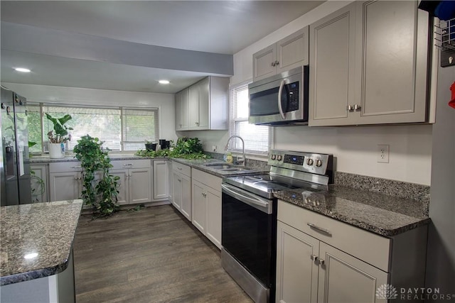 kitchen with plenty of natural light, sink, appliances with stainless steel finishes, and dark wood-type flooring