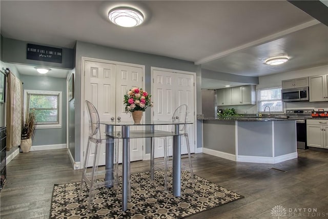 kitchen featuring stainless steel appliances and dark hardwood / wood-style floors