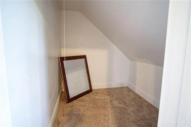 additional living space featuring light carpet and lofted ceiling