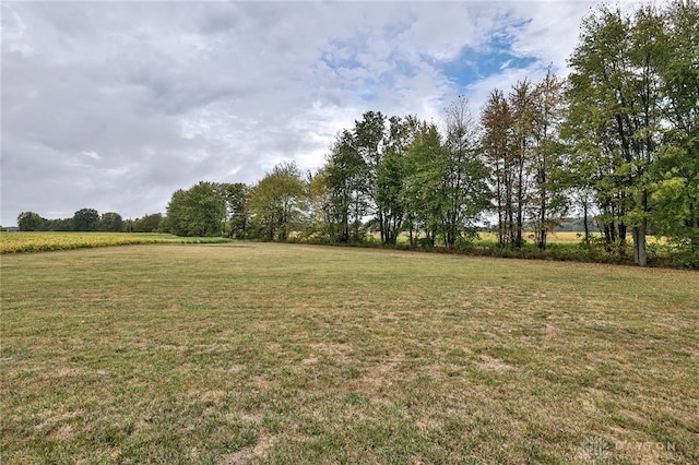 view of yard featuring a rural view