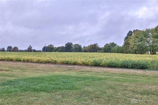 view of yard featuring a rural view