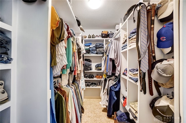 spacious closet with carpet