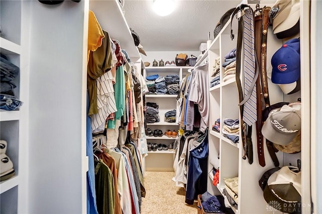 walk in closet with carpet