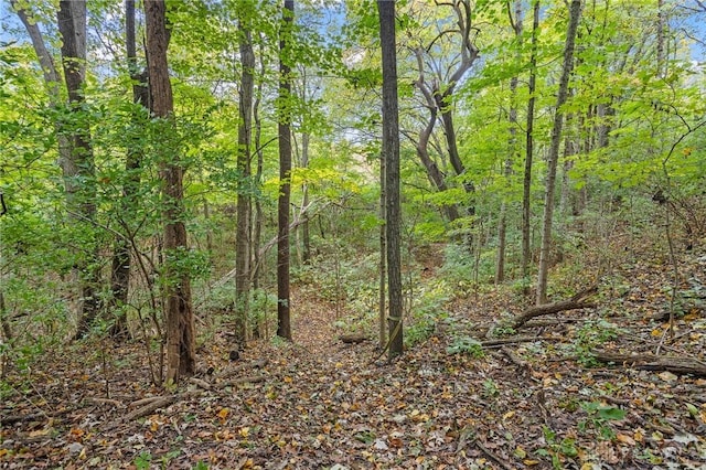 view of local wilderness featuring a view of trees