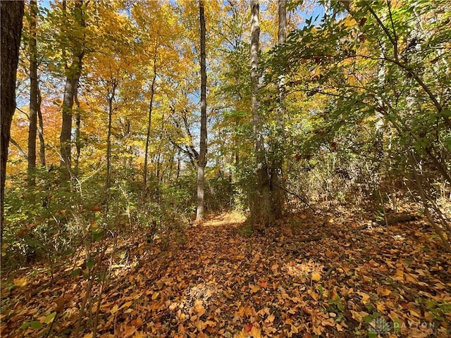 view of nature featuring a forest view