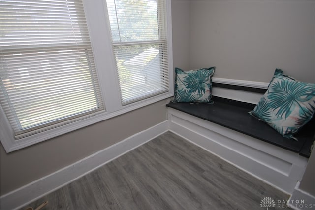 sitting room featuring dark wood-type flooring