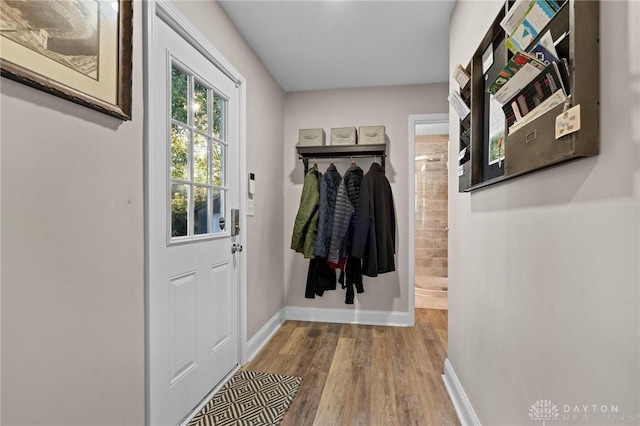 doorway with wood-type flooring