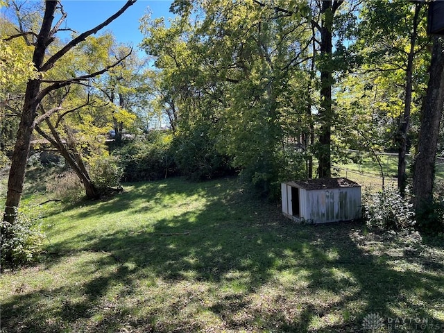 view of yard with a shed