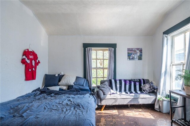 bedroom with vaulted ceiling