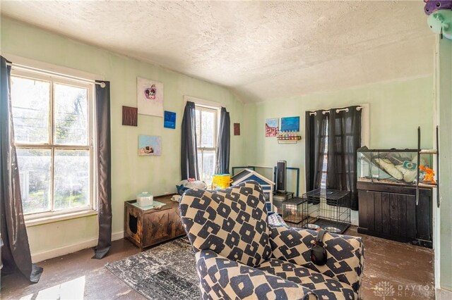 bedroom with multiple windows, lofted ceiling, and a textured ceiling