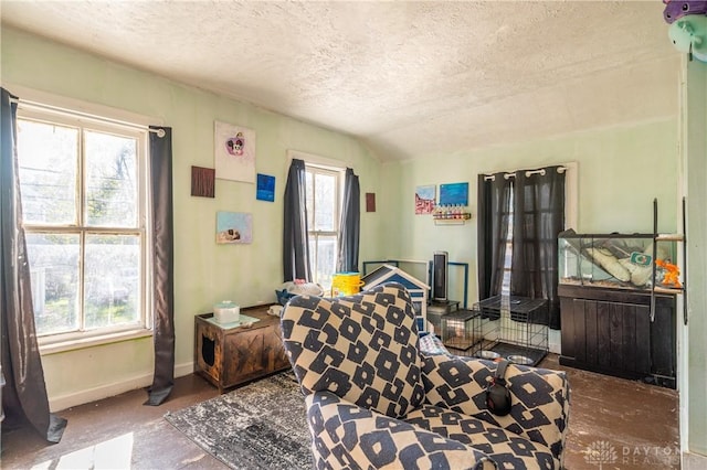 bedroom featuring a textured ceiling, multiple windows, vaulted ceiling, and baseboards