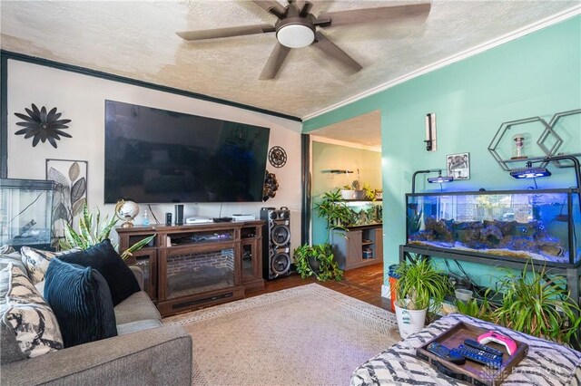 living room featuring a textured ceiling, ceiling fan, and ornamental molding