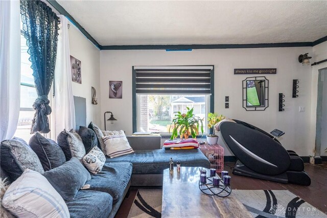 living room featuring hardwood / wood-style floors, ornamental molding, and a textured ceiling