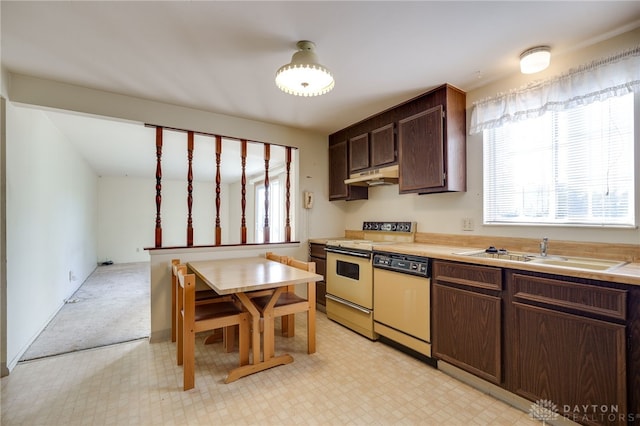 kitchen with light carpet, electric range, dark brown cabinets, dishwashing machine, and sink