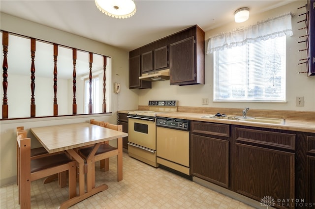 kitchen featuring dark brown cabinetry, dishwashing machine, sink, and range with electric stovetop