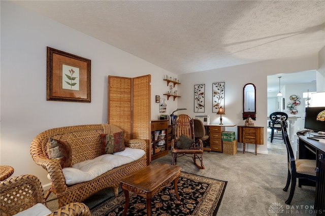 living room with carpet flooring and a textured ceiling